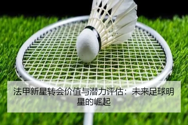 法甲新星转会价值与潜力评估：未来足球明星的崛起